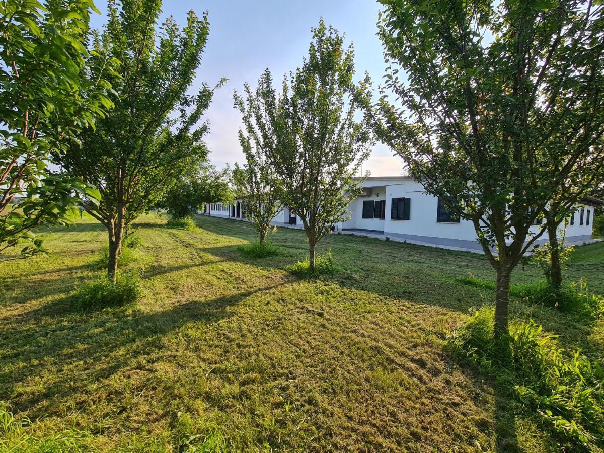 Agriturismo Ca Novak Venezia Βίλα Spinea Εξωτερικό φωτογραφία