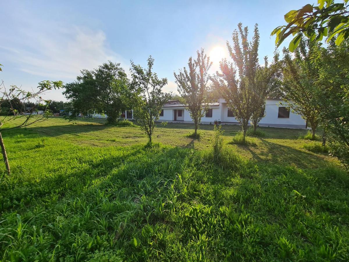 Agriturismo Ca Novak Venezia Βίλα Spinea Εξωτερικό φωτογραφία
